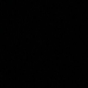 Meet your Posher, Leilani